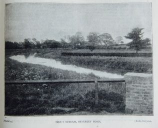 Great Driffield Circuit, Yorkshire - 1899 article