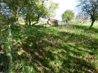 View of Mocktree ruin looking North 2013 View of Mocktree ruin looking North 2013 | R Beck