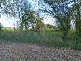 View to Mocktree ruin from Mocktree Turnpike 2013 | R Beck