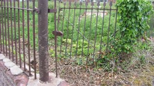 Graveyard - 8 June 2017 Graveyard - 8 June 2017 | Raymond Ella